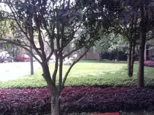 鱼洞 南城国际二房52.5万