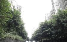 人民广场 永川气矿小区三房49.8万