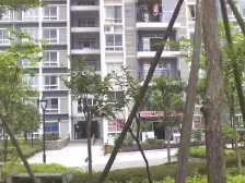 回兴 奔力乡间城二房46.3万