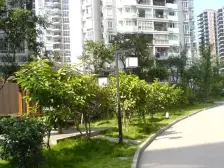 天和苑(巴南) 3室2厅 南 北