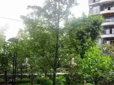 正面看江 卧室有阳台 精装修 诚心出售