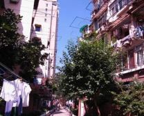 法华镇路878弄1室1厅南
