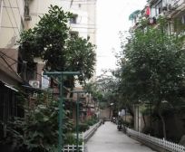 法华镇路878弄1室1厅南