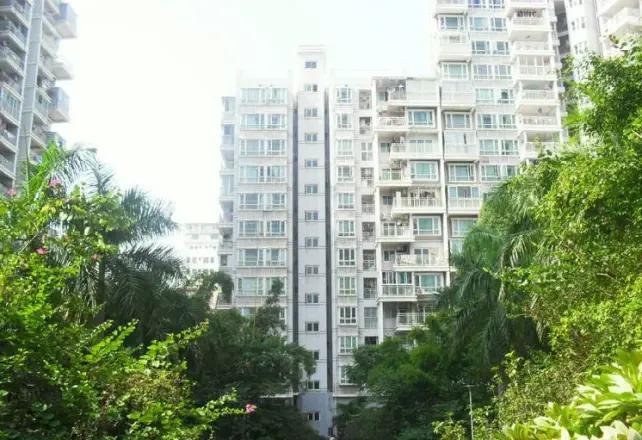 潜龙华城