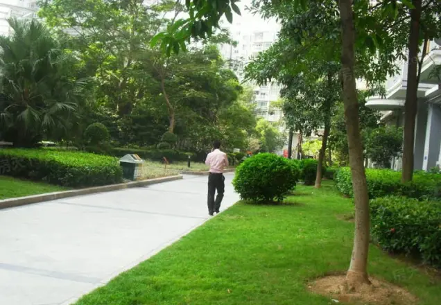 潜龙华城