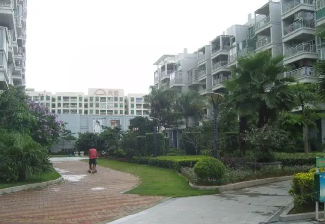 潜龙华城