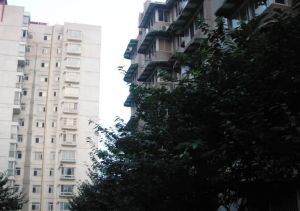 新乐北巷2号1室1厅东南