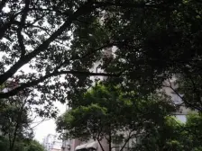 新华路·锦海大厦·3室·1厅