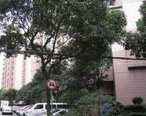 新华路·锦海大厦·2室·2厅