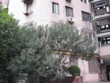 新华路·锦海大厦·双南两房