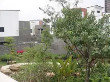 万科棠悦 临湖别墅 视野开阔 挑高客餐厅 随时可看