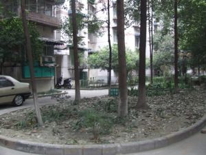 锦桂苑3室1厅南