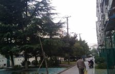 新上9号线地铁口建平实验小学中间楼层精装修
