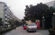 金桥横街+中楼层+位置安静不靠路+有钥匙随时看+诚意售