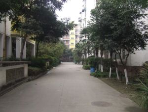 锦怡居4室2厅南