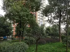 毛线沟 心巢御园三房86万