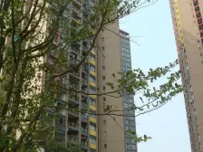 莫比时代 6室2厅 南