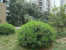 弹子石 昕晖莫比时代三房80万