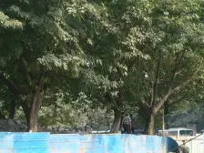 弹子石 华隆小区五房