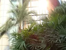 弹子石 富力现代广场二房80万