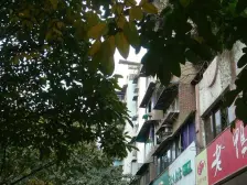 鱼洞 江洲路三房39万