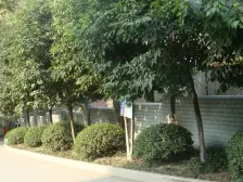 大坪 医学院路一房35.5万