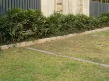 大坪 医学院路二房35万