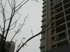 渝北农业园区 配套齐全 交通便利精装两房诚心出售