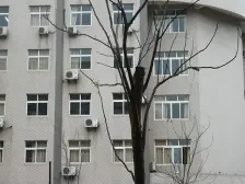 交通便利,户型方正,精装修,视野好,宜居