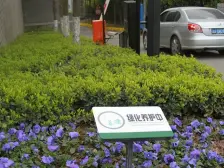 中Y公园北区,次新小区,联排别墅+60平花园