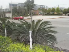 万科渝园 联排别墅 可做5室多套房设计 可装电梯