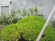 农业园区 万科渝园六房338万