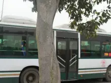 汽博单间配套,视野好,交通方便,配套齐全