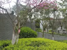 万科朗润园 精装3房带储物间 朝中庭