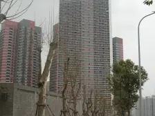 精装2房,品质小区,配套齐全,拎包入住