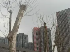 万科朗润园三室两厅一卫一厨 采光通透