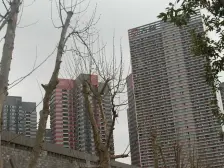 业主诚心卖,装修保养都很好,视野开阔,不对电梯