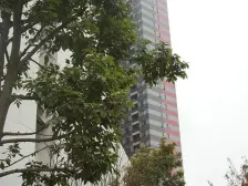 万科精装3房 装修保持好 拎包入住