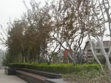 三房带储物间,万科物业,住家精装修家电齐全拎包入住