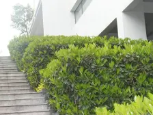 万科,精装两室,住家,中间楼层,位置安静,出行方便