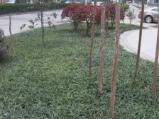 房屋是跃层,带车位,诚心出售,中庭位置