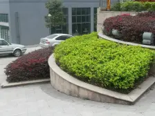 农业园区 天高鸿苑五房200万