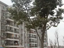 天高鸿苑 4室2厅 南 北