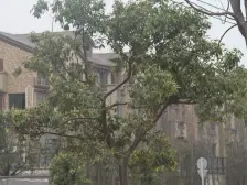 精装两房 拎包入住 出行便利 楼下就是公交车站 方便