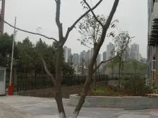 大三房 楼下就是公交车站 交通便利