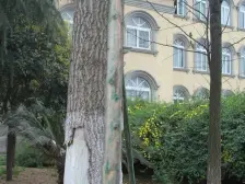 枫桥水郡 2室1厅 南