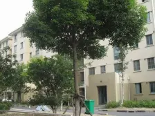 康桥·双秀西园(**)·2室·1厅