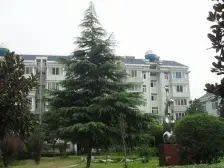 莎海公寓5室南朝向560.00万元/套出售