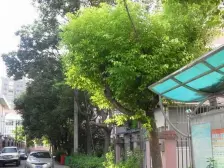 户型方正,低总价,通风采光好,近地铁