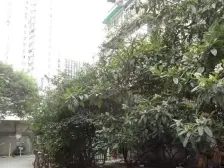 小户型,主卧朝南,交通便利,近地铁